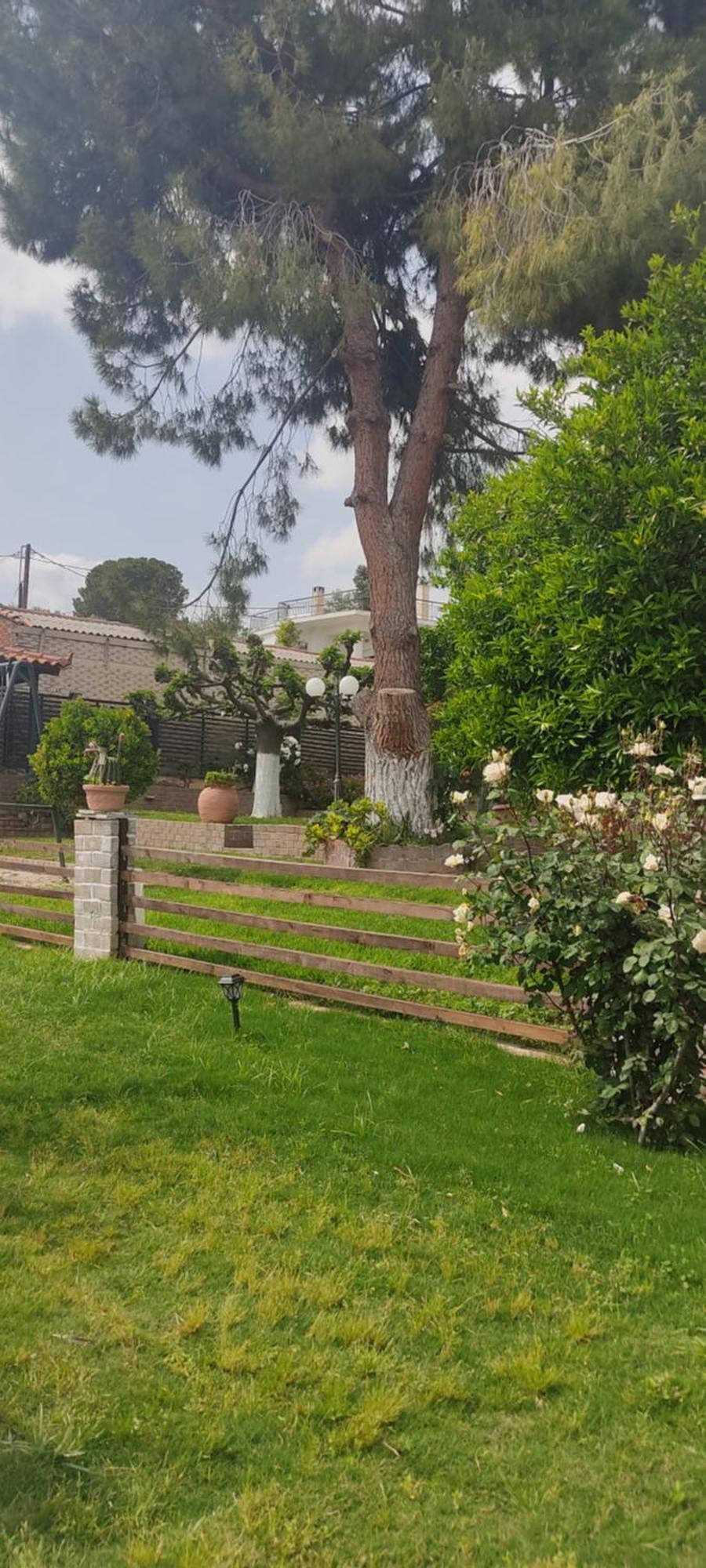 Appartamento Alice House 1 Amarynthos Esterno foto